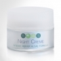 BYAS NIGHT Creme - nočný krém BYAS NIGHT Creme - nočný krém